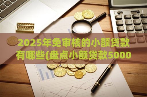 2025年免审核的小额贷款有哪些(盘点小额贷款5000急用) 