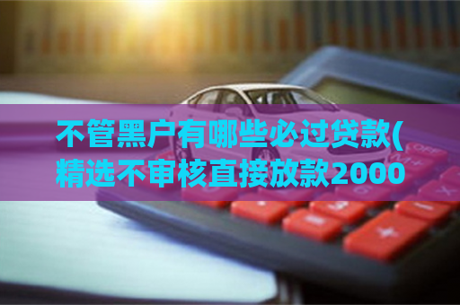 不管黑户有哪些必过贷款(精选不审核直接放款20000口子) 